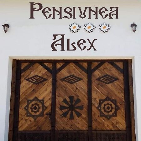 Pensiunea Alex Márga Kültér fotó